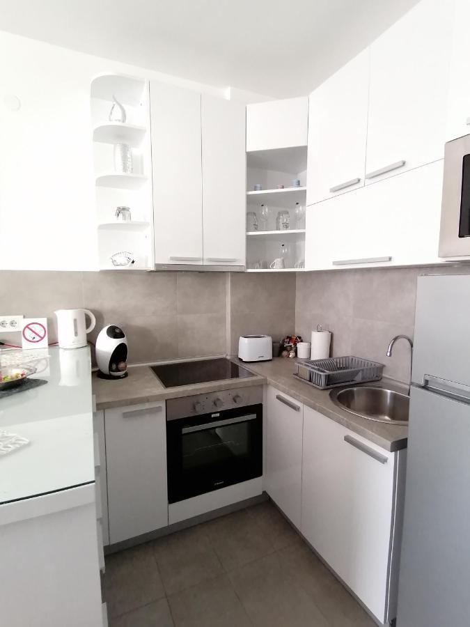 דירות נובי סאד Apartman Gallery Square - Pupin Palace מראה חיצוני תמונה